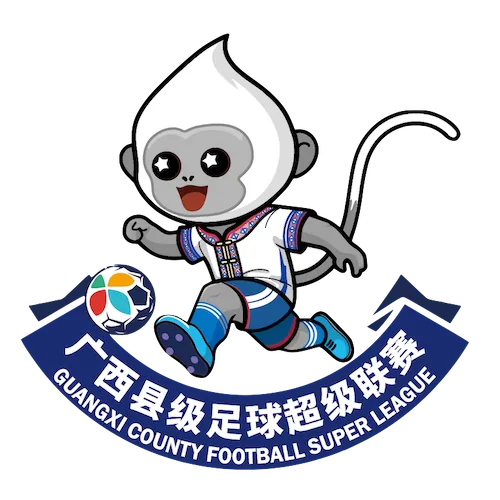 广西县级足球超级联赛 崇左市龙州县队2-4钦州市钦北区队20260321
