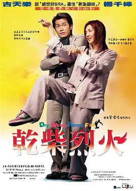 干柴烈火2002[电影解说]