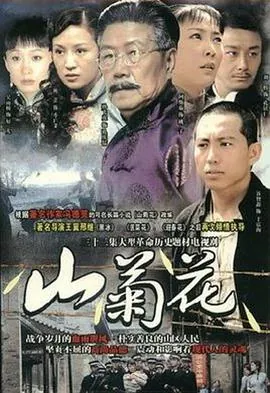 山菊花2009
